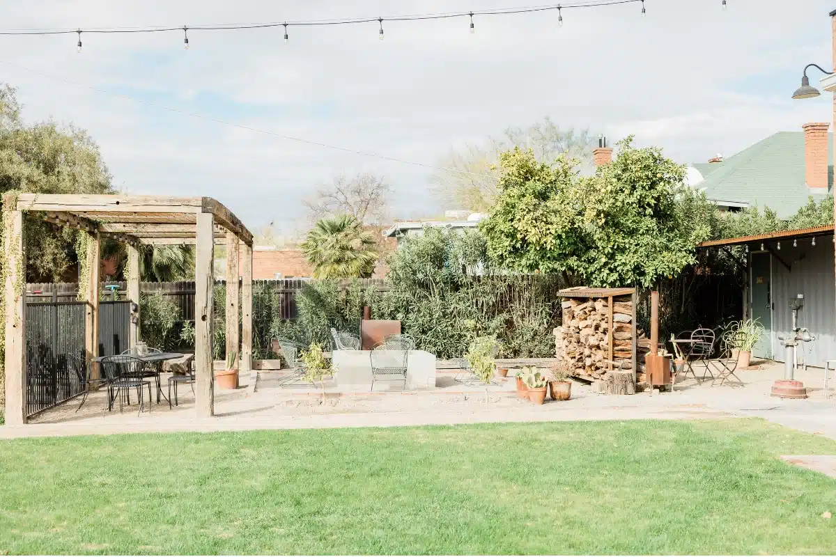 Couple tending to potted plants and nursery herbs in a sunny backyard garden setup