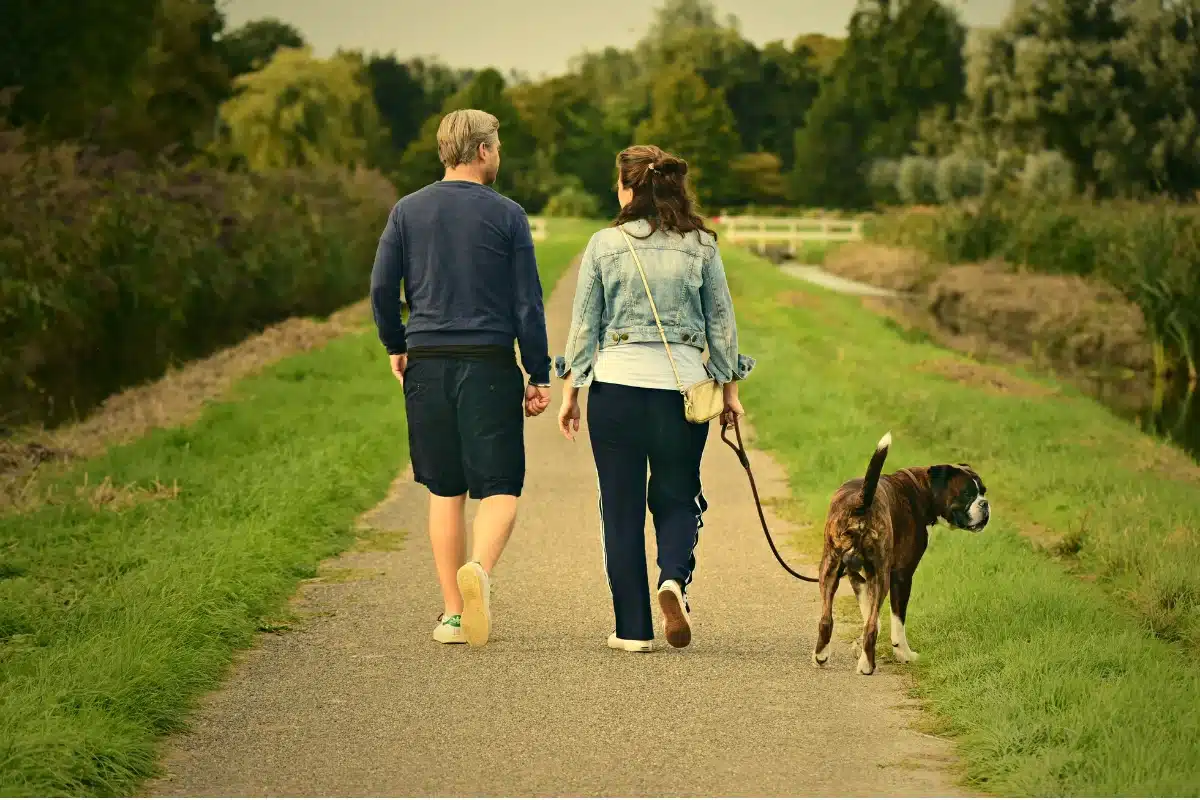 Happy couple walking friendly dogs on leashes in a suburban neighborhood park